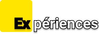 Experience
